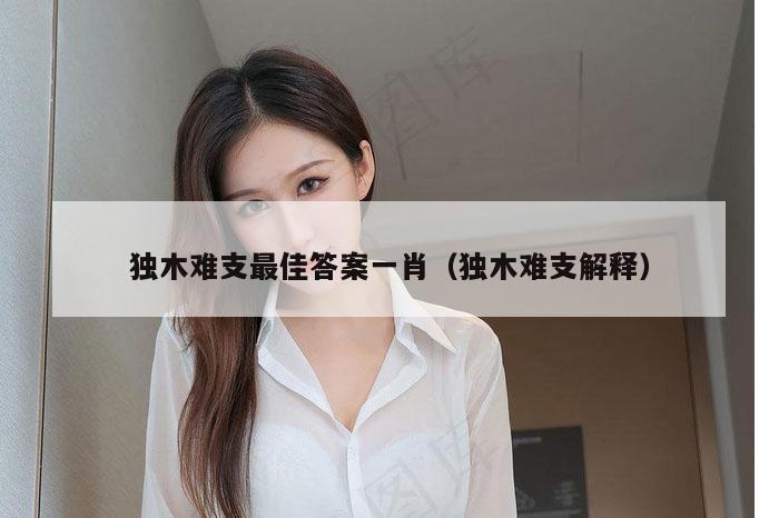 独木难支最佳答案一肖（独木难支解释）