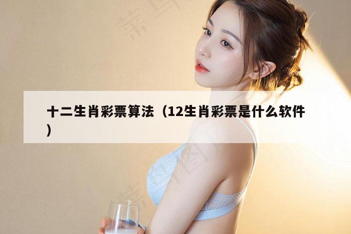 十二生肖彩票算法（12生肖彩票是什么软件）