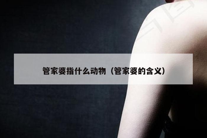 管家婆指什么动物（管家婆的含义）